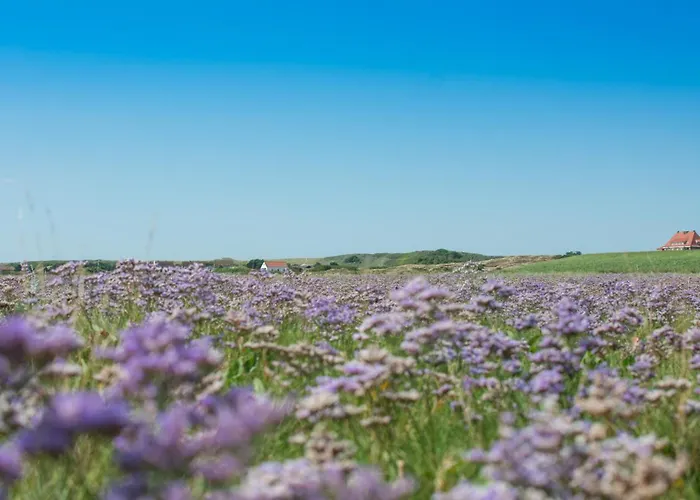 Huus Tueuet 2 Dg Апартаменты *