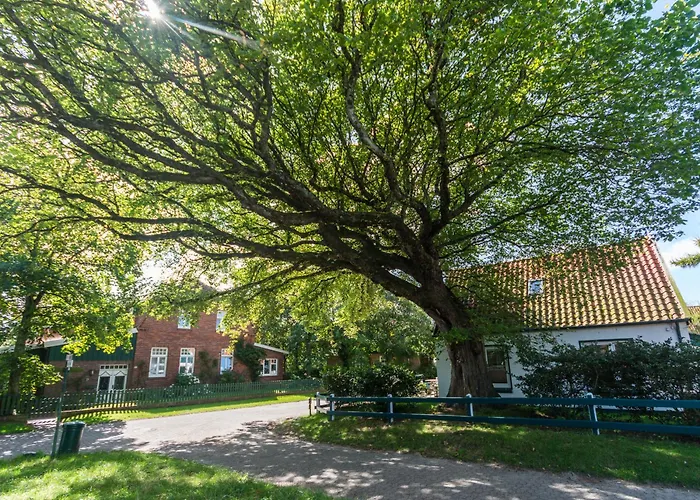 Huus Tueuet 2 Dg Апартаменты